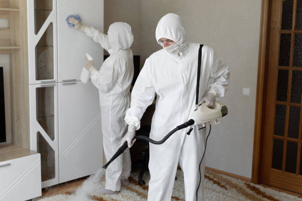Trusted Sewage Cleanup service in Steeleville, IL - Four Month Blood Cleanse